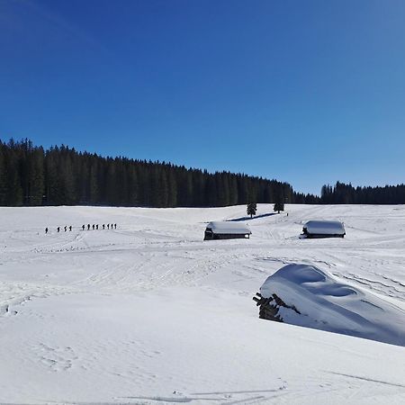 Villa Pokljuka Zgornje Gorje Ngoại thất bức ảnh