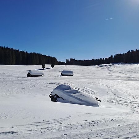 Villa Pokljuka Zgornje Gorje Ngoại thất bức ảnh