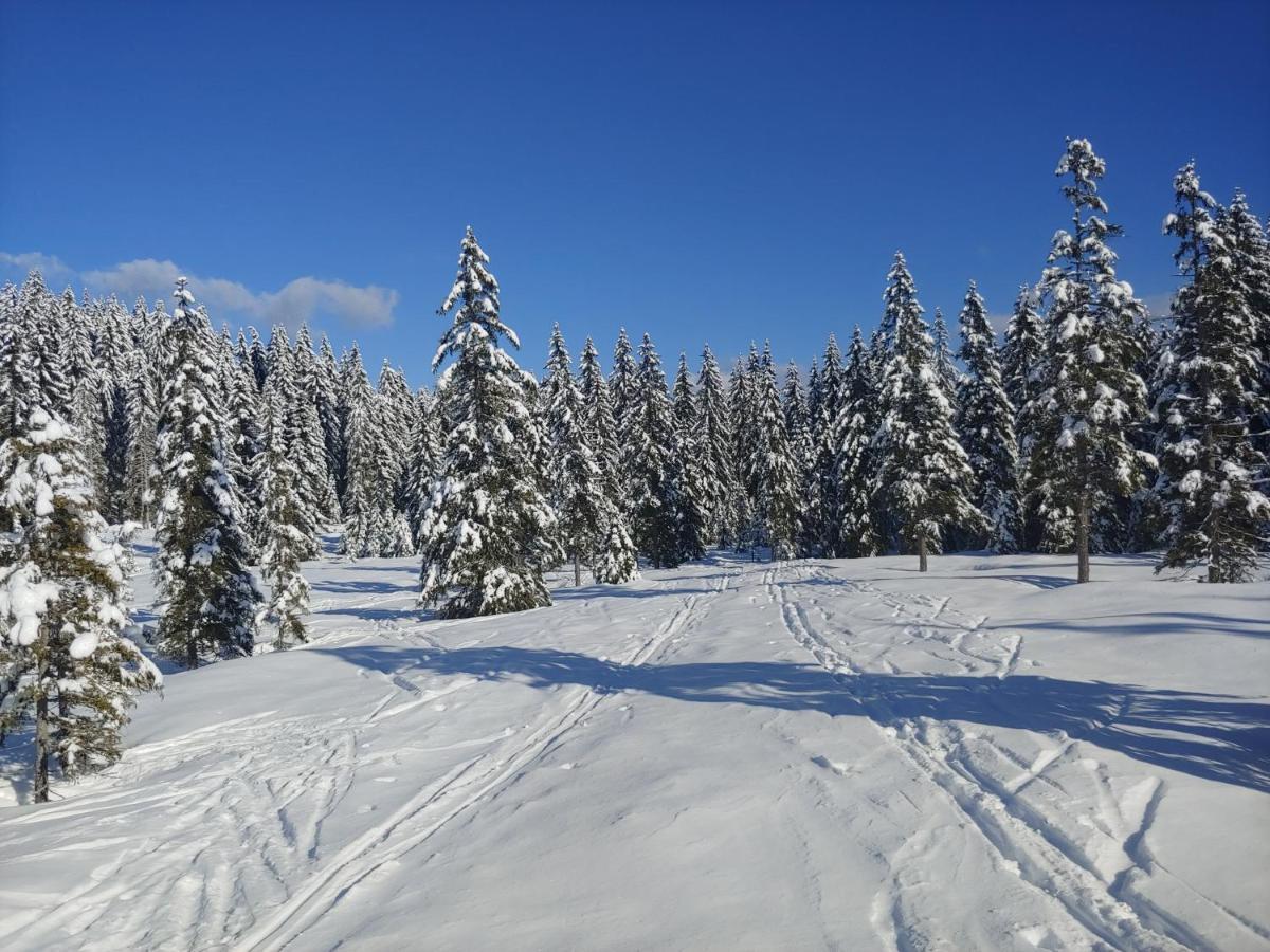 Villa Pokljuka Zgornje Gorje Ngoại thất bức ảnh