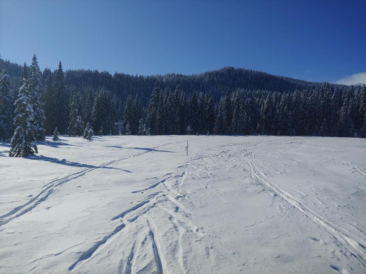 Villa Pokljuka Zgornje Gorje Ngoại thất bức ảnh