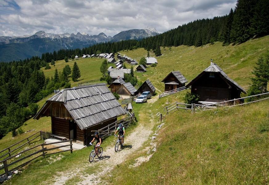Villa Pokljuka Zgornje Gorje Ngoại thất bức ảnh