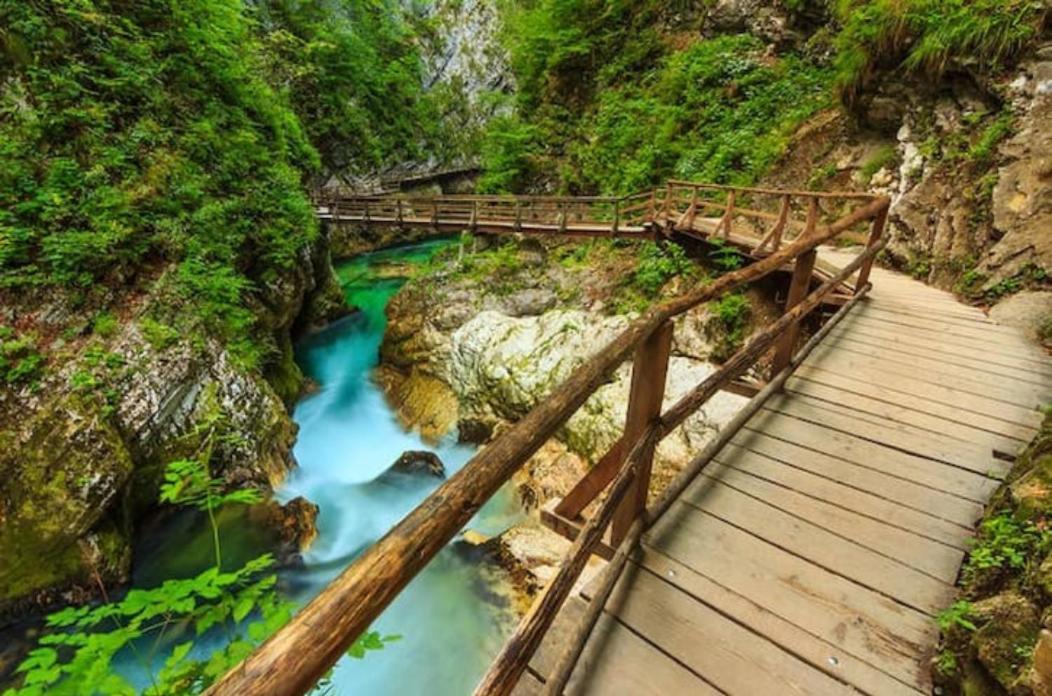 Villa Pokljuka Zgornje Gorje Ngoại thất bức ảnh