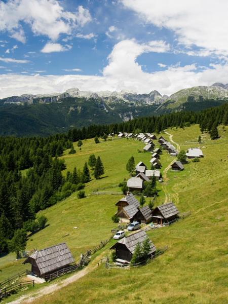 Villa Pokljuka Zgornje Gorje Ngoại thất bức ảnh