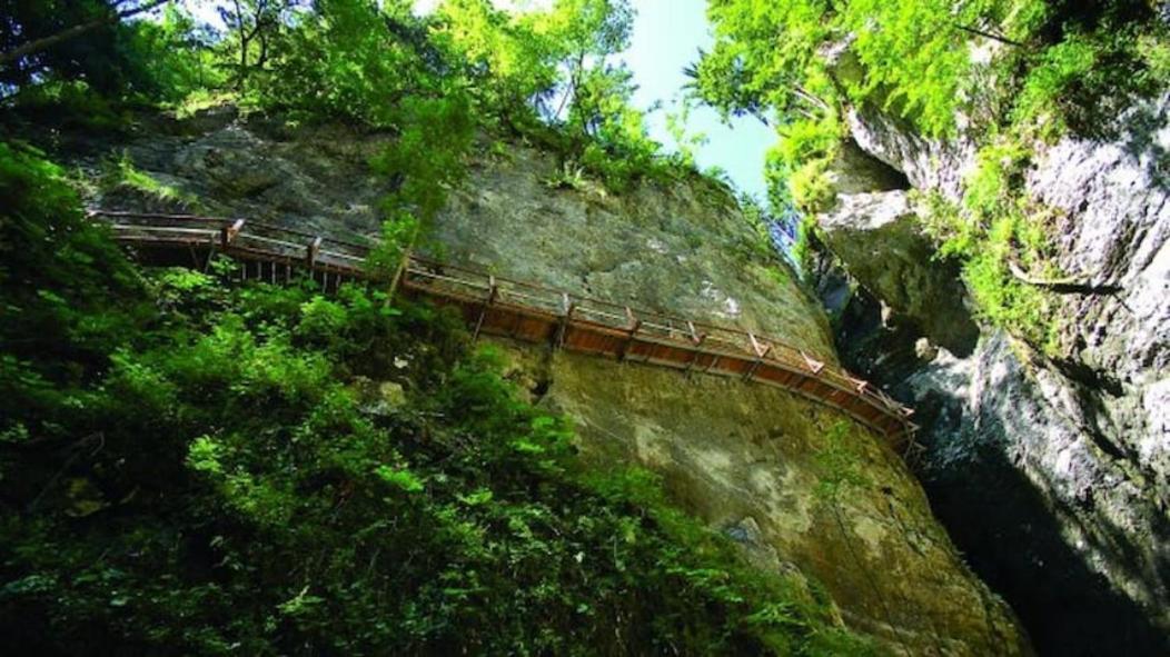 Villa Pokljuka Zgornje Gorje Ngoại thất bức ảnh