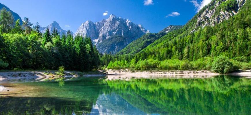 Villa Pokljuka Zgornje Gorje Ngoại thất bức ảnh