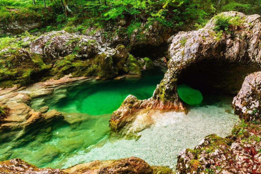 Villa Pokljuka Zgornje Gorje Ngoại thất bức ảnh