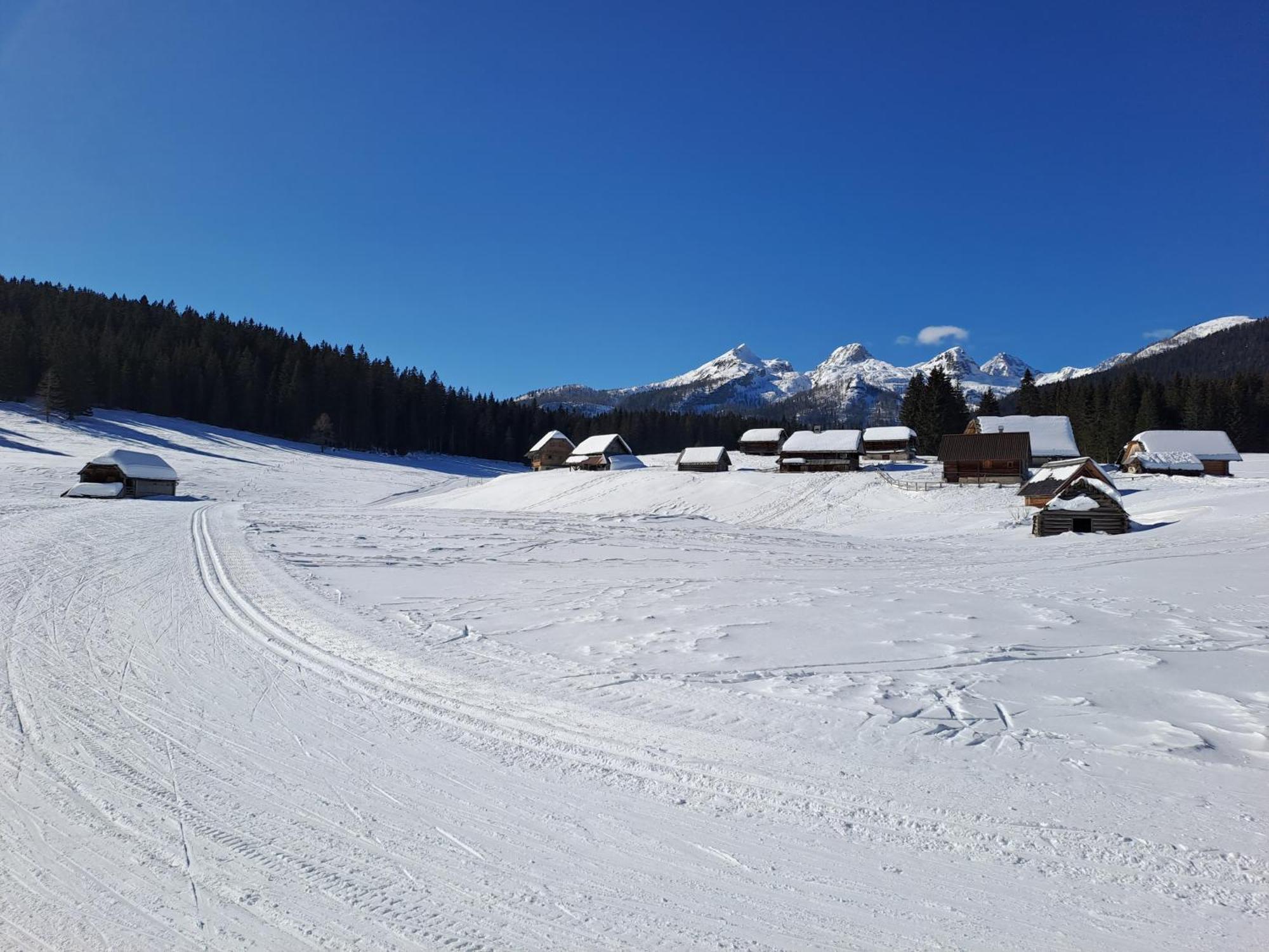 Villa Pokljuka Zgornje Gorje Ngoại thất bức ảnh