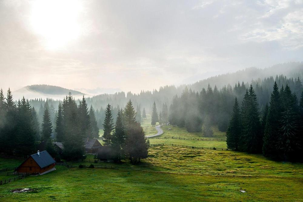 Villa Pokljuka Zgornje Gorje Ngoại thất bức ảnh