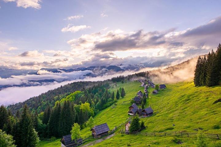 Villa Pokljuka Zgornje Gorje Ngoại thất bức ảnh