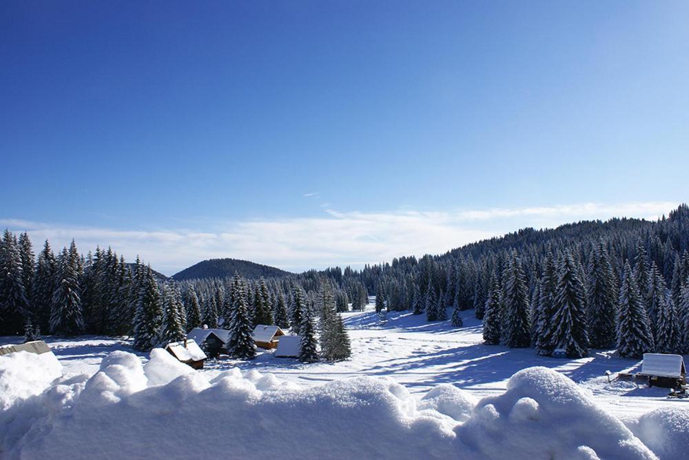 Villa Pokljuka Zgornje Gorje Ngoại thất bức ảnh