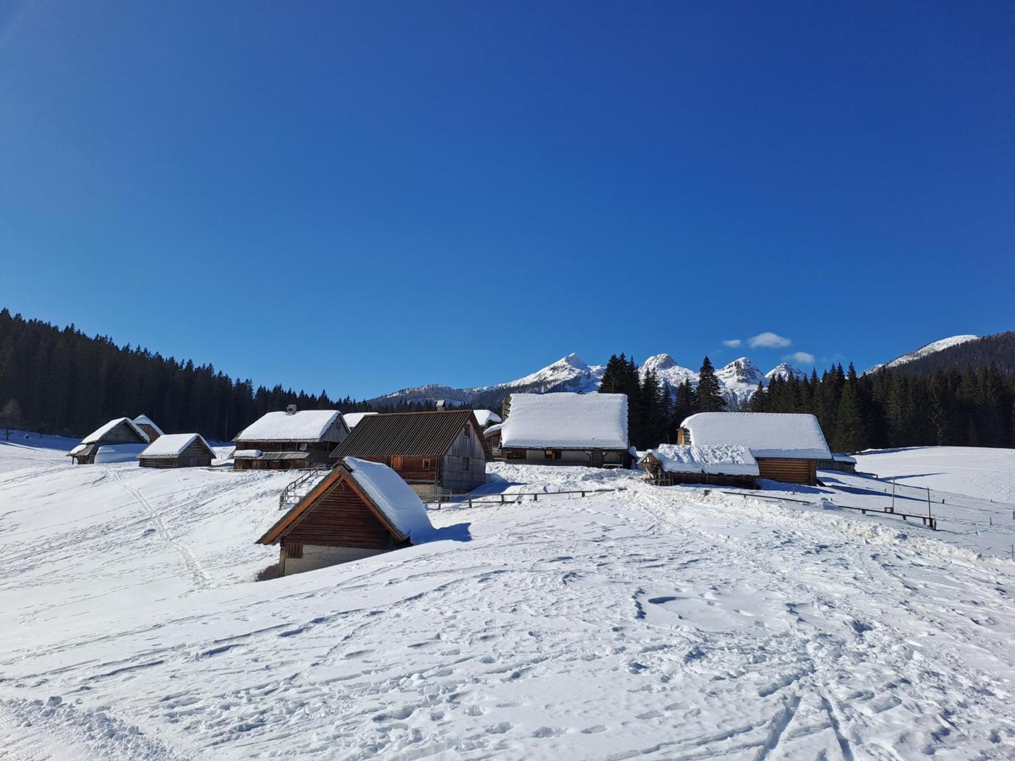 Villa Pokljuka Zgornje Gorje Ngoại thất bức ảnh